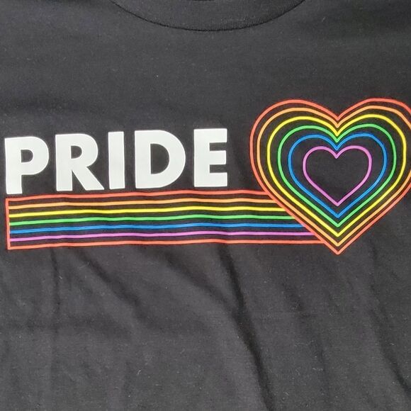 Rainbow Heart Pride LGBTQ Proud Gay Lesbian Pride Gray T-Shirt Extra Large - Picture 2 of 7